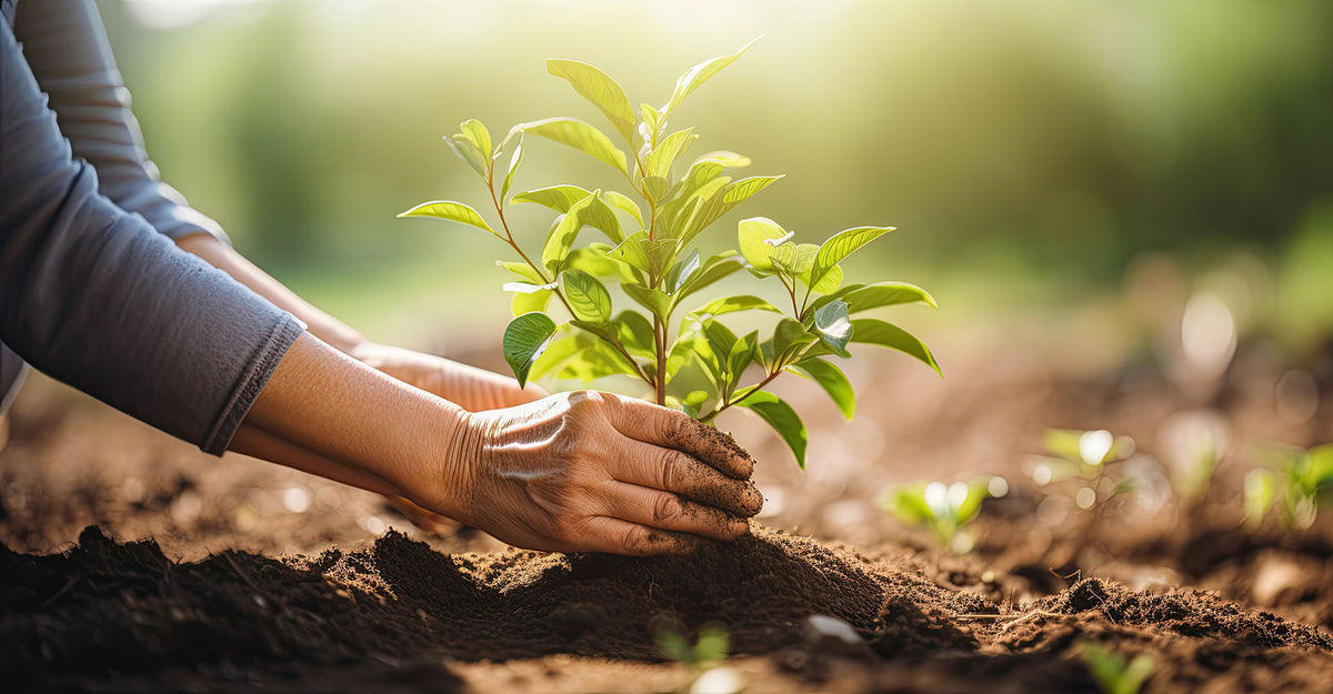 The Pack Forest® Environmental Fund Activities Report (March-April 2024)