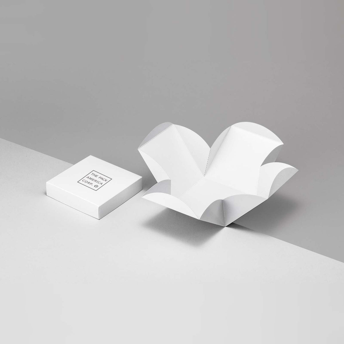 Paperboard Boxes