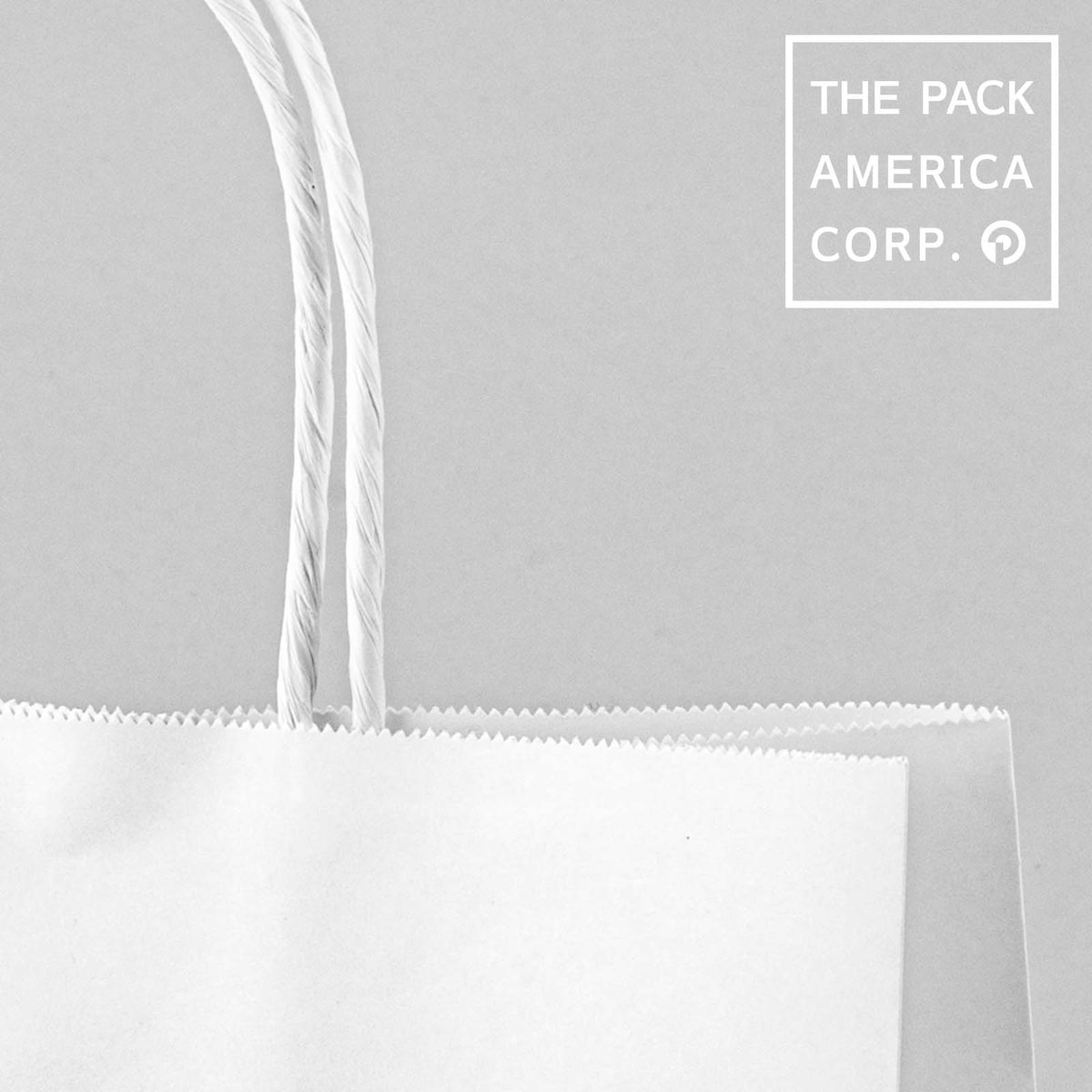 Serrated top paper shopping bag with twisted rope handles